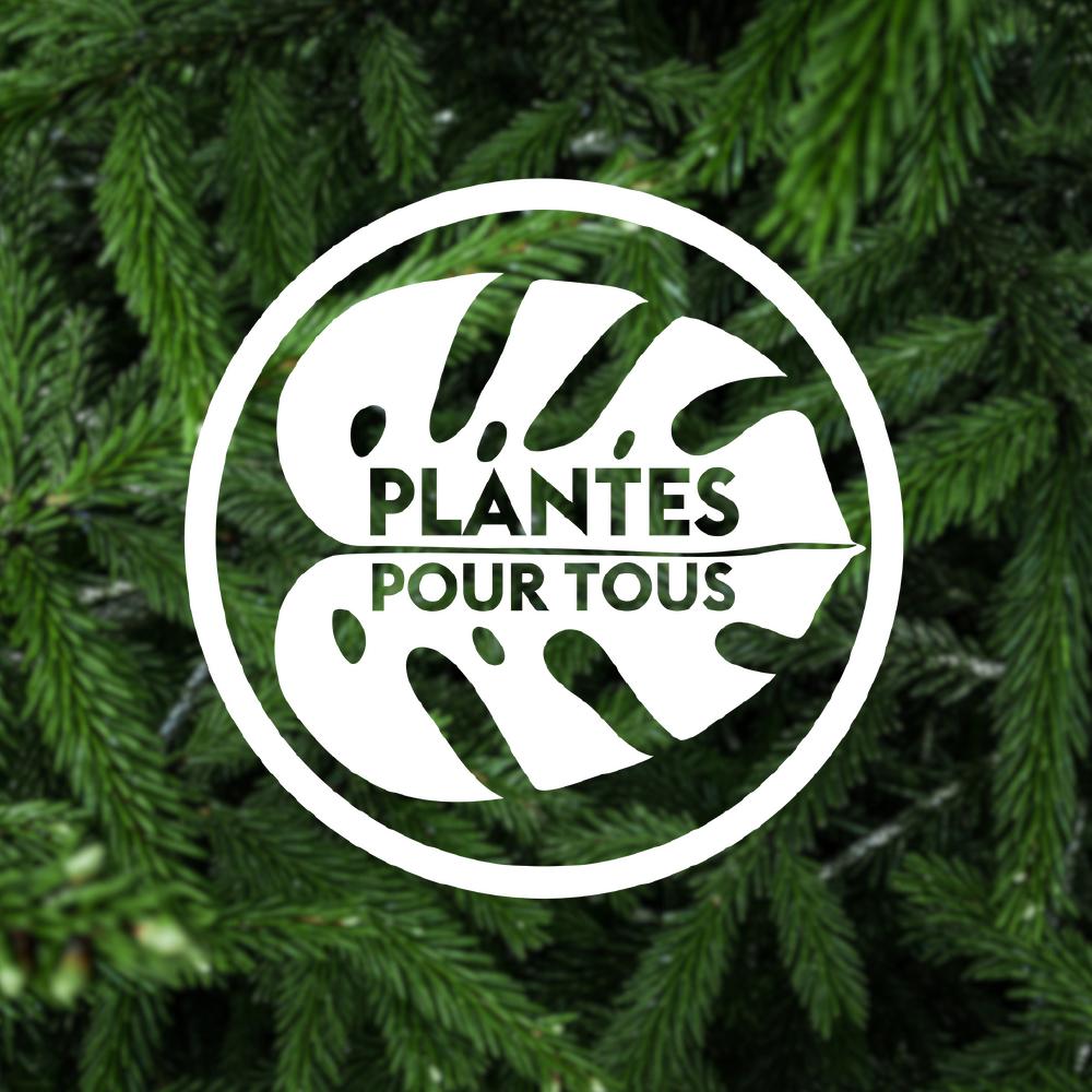 Les sapins de Noël sont arrivés à la Jardi Bellecour ! 