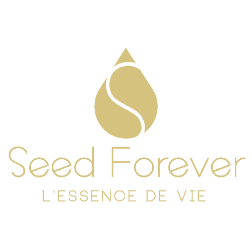 Pop up Store Seed Forever