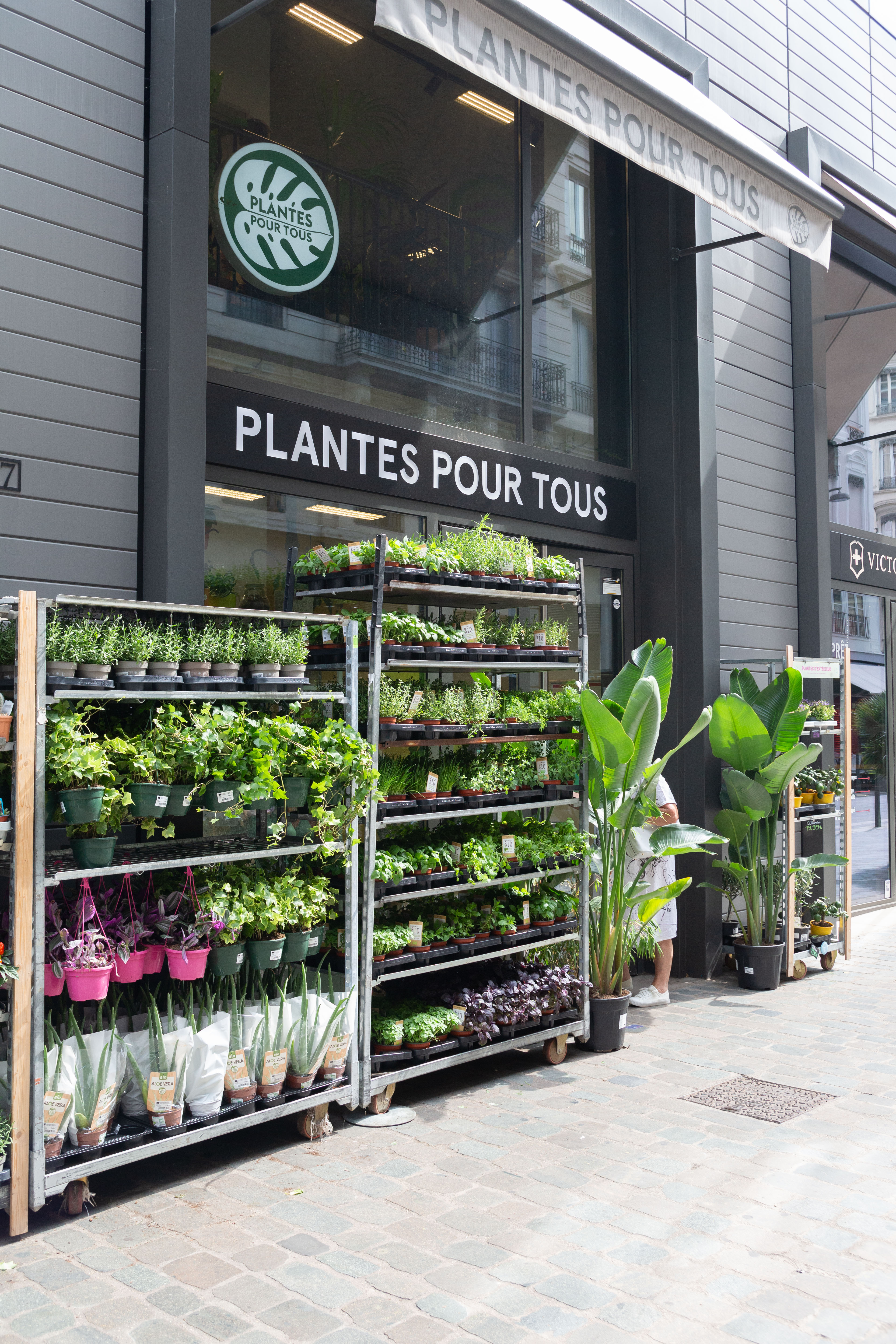 Plantes pour tous